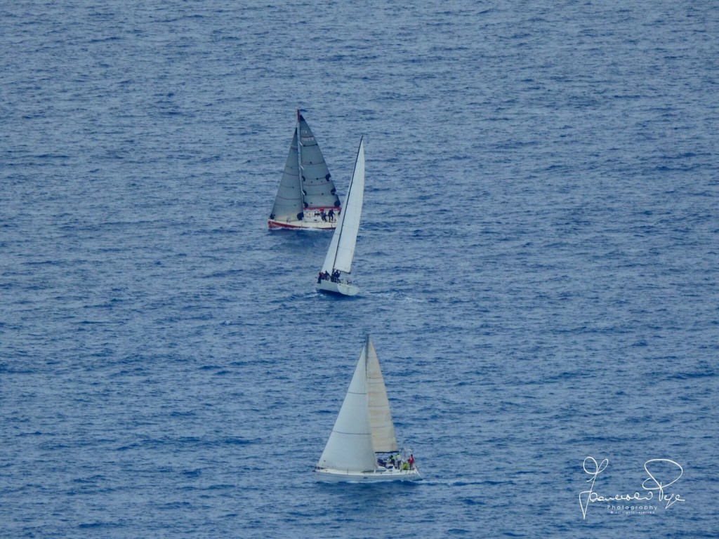 cetraro-sailing-cup-1-1