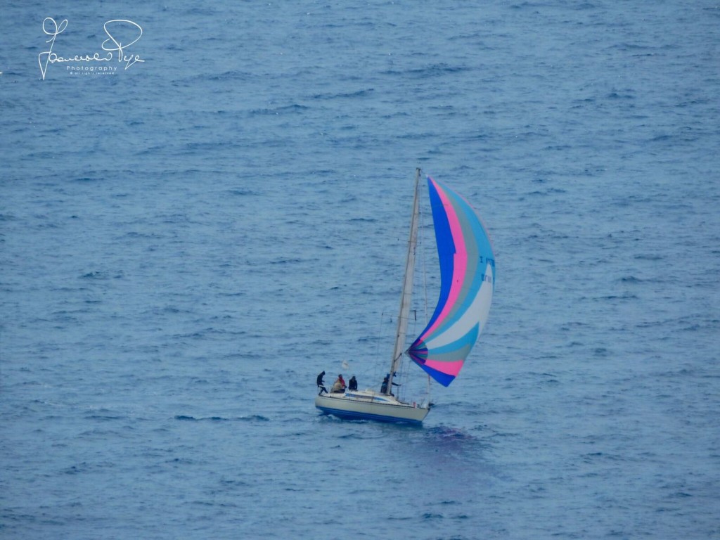 cetraro-sailing-cup-1-12
