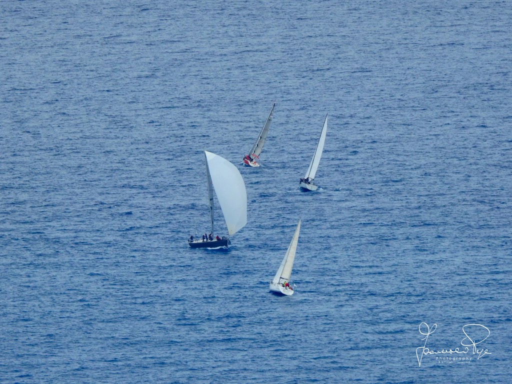 cetraro-sailing-cup-1-13