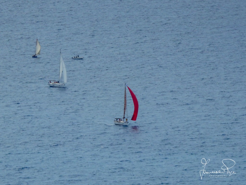 cetraro-sailing-cup-1-14