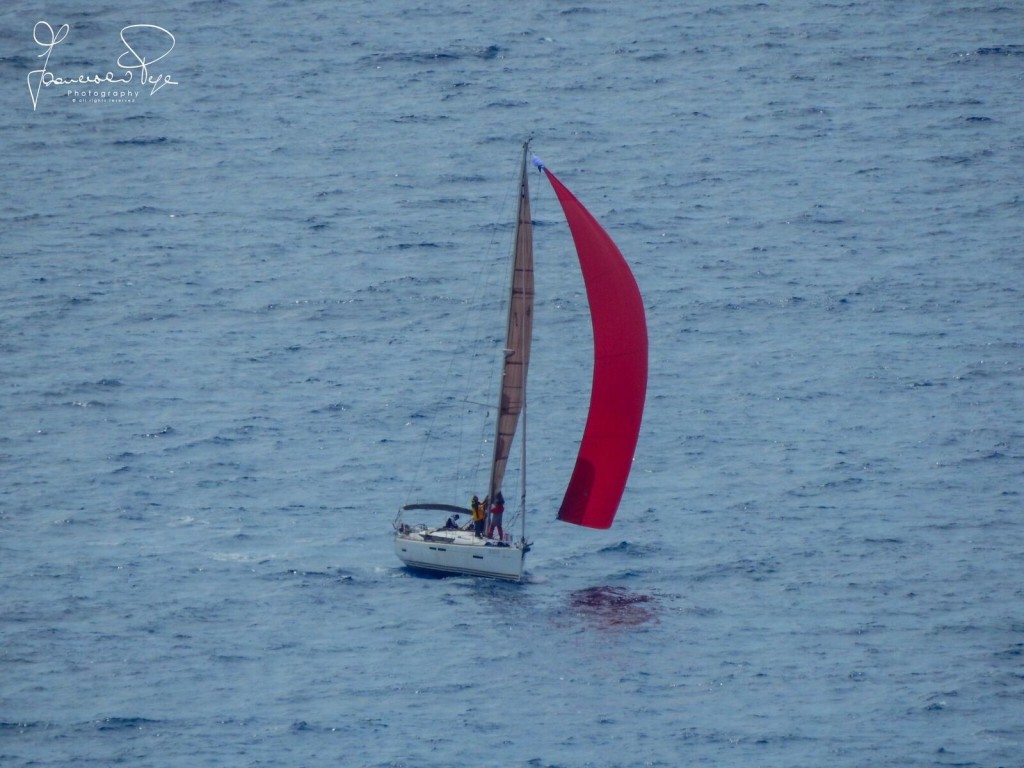 cetraro-sailing-cup-1-16
