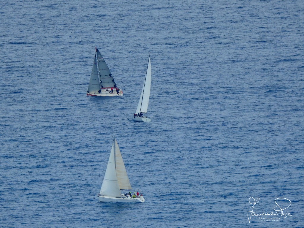 cetraro-sailing-cup-1-3